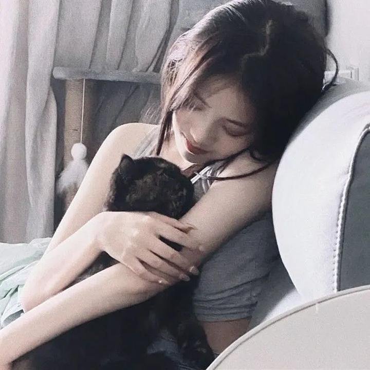 狮心王：背叛